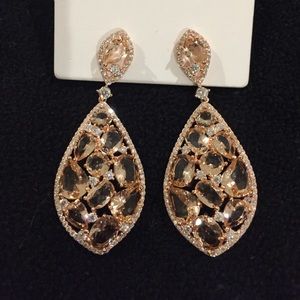 Brand New Never Worn Cote D’Argent Earrings